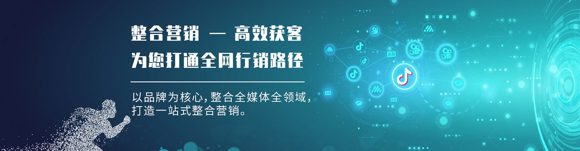 大树百度sem